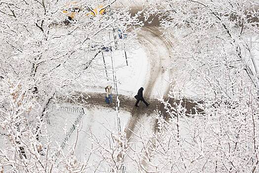 Длительность снегопадов в&nbsp;Москве рассчитали