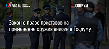 Закон о праве приставов на применение оружия внесен в Госдуму