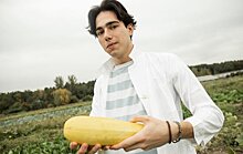 В Тимирязевской сельхозакадемии создаются первые отечественные гибриды белоплодного кабачка