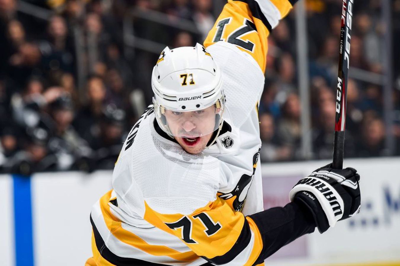 ����&nbsp; ������� ��������� ������� ����������� �������� ��������