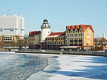 Житель Калининграда поджег главную городскую елку