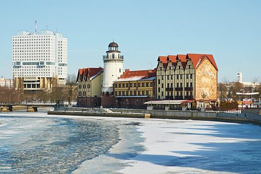 Житель Калининграда поджег главную городскую елку