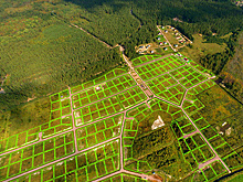 Еще 70 земельных участков согласовали для передачи многодетным семьям Подмосковья