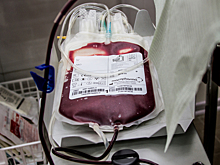 В Японии создали универсальную кровь для переливания любому человеку