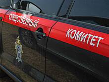 Семьи топтавших флаг в Обнинске подростков лишат гражданства
