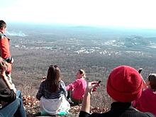 Прогулка на костях: в Хабаровске проводят нелегальные туры к месту крушения Ан-26