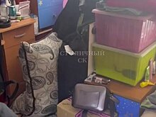 Соседка рассказала, что слышала крики из квартиры убившей отца школьницы