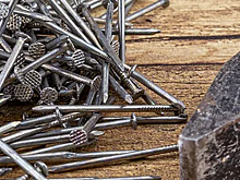 Борис Титов: В России надо создать условия для выгодного производства гвоздей