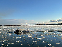 В Благовещенске билеты на «пумы» продают день в день