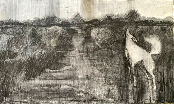 После черной полосы всегда наступает средняя