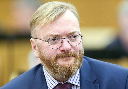 Депутат Милонов объяснил, как раздел знакомств на «Госуслугах» будет вычислять альфонсов, ботов и «профурсеток»