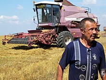 Коров меньше, мяса больше. Как РФ обогнала СССР