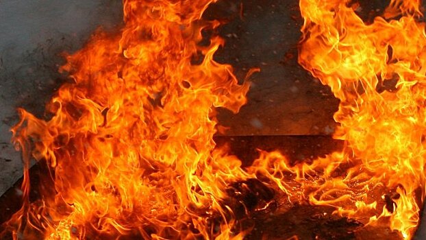 У погибшей при пожаре в Воронежской области семьи чудом остался в живых старший ребёнок