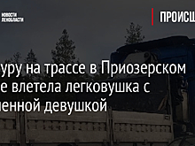 Под фуру на трассе в Приозерском районе влетела легковушка с беременной девушкой