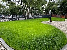 Эксперт Васецкий: перед заморозками нужно успеть провести стрижку газона