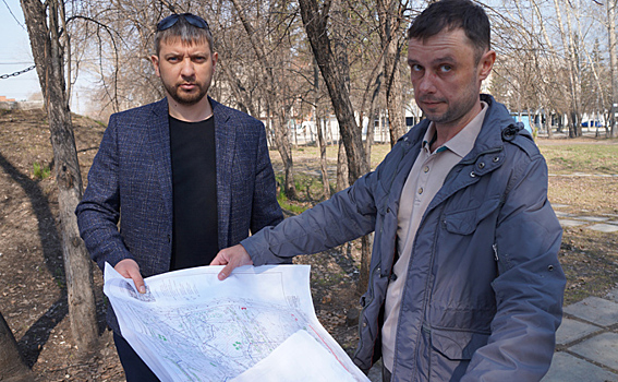 Старые тополя заменят на 284 новых деревца в городском парке Бердска