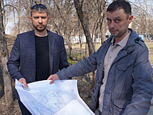 Старые тополя заменят на 284 новых деревца в городском парке Бердска