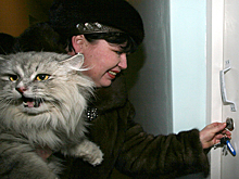 Классовое равенство: россиян обеспечат стандартным жильем