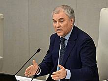 Володин призвал не скандалить из-за центра имени сторонника фашистов в РГГУ