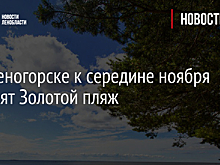 В Зеленогорске к середине ноября обновят Золотой пляж