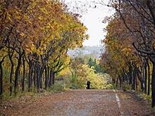 Осенний пейзаж в горах Тайханшань