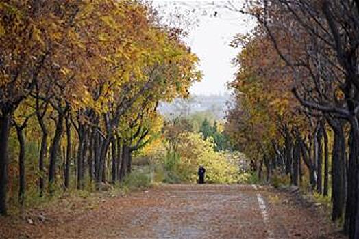 Осенний пейзаж в горах Тайханшань