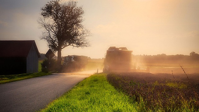 Приметы на 1 июля 2023 года: что нельзя делать в день Макушки лета