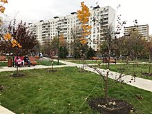 В Останкине высадят более 5 тысяч деревьев и кустарников в следующем году