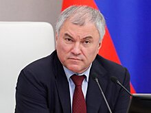 Многодетных отцов освободят от частичной мобилизации - Володин