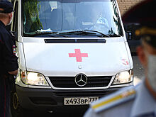 В Подмосковье убита дочь регионального замминистра