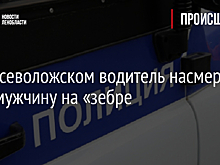 Под Всеволожском водитель насмерть сбил мужчину на «зебре