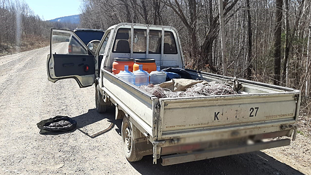 В Хабаровском крае сотрудники полиции задержали подозреваемых в незаконном обороте особо ценных биоресурсов