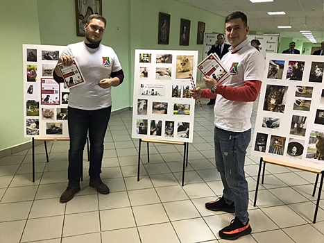 Выставку фотографий домашних любимцев открыли в Южнопортовом районе