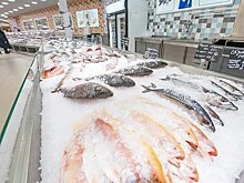 Россоюзхолодпром: "Дальнейшее промедление грозит острым дефицитом хладагентов на федеральном уровне"