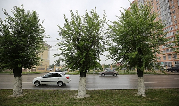 Как волгоградцам летом обезопасить себя и свой автомобиль на дорогах