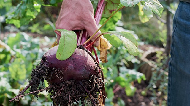Приметы на 1 сентября 2022 года: что нельзя делать в первый день осени