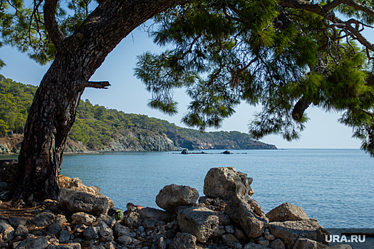 Туроператор: путевок в Турцию хватит всем жителям ЯНАО