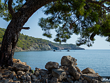 Туроператор: путевок в Турцию хватит всем жителям ЯНАО