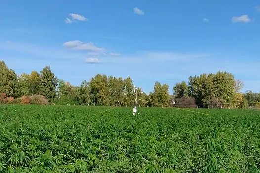 На Урале открыли карбоновую ферму