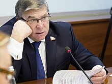 В Совфеде объяснили, что делать, если где-то не принимают карточки «МИР»