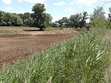 День Флора и Лавра: какие запреты существуют на 31 августа