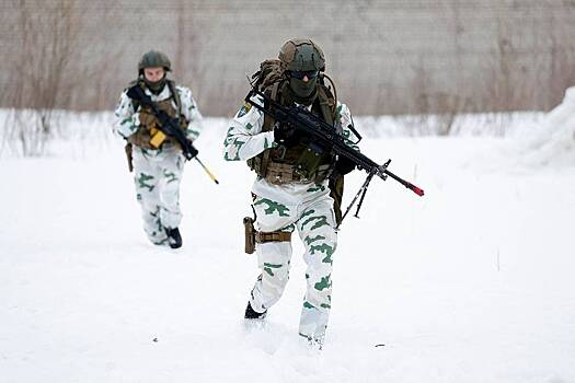 В Венгрии раскрыли дату вступления Евросоюза в войну с Россией