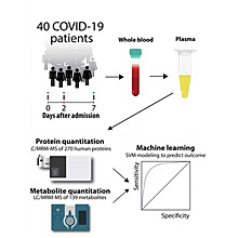 Искусственный интеллект и количественная масс-спектрометрия предскажут исход заболевания COVID-19