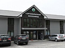 «Сортавальский лесозавод» на четверть увеличил объемы производства