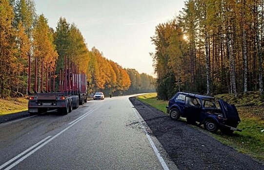 В Медвежьегорском районе 79-летний пенсионер на «Ниве» врезался в грузовик