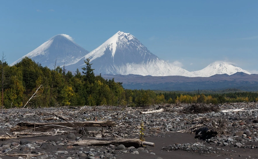 На Камчатке произошло землетрясение магнитудой 5,5