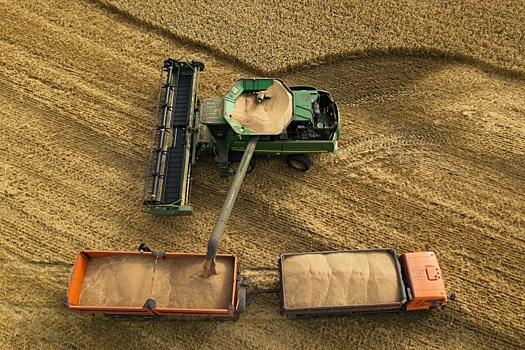 Замглавы ФТС: Продукты питания и энергоносители нужны всем