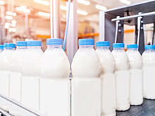 Производство молочной закваски нарастили в России