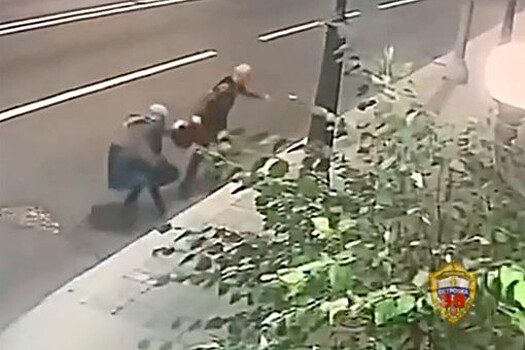 Отбившаяся от грабителя в Москве пенсионерка попросила не сажать его в тюрьму