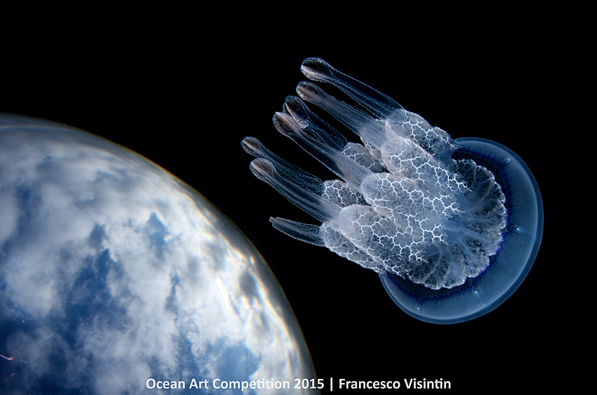 Широкоугольная фотография медузы и окна Снелла, напоминающего планету, сделанная у берегов Тосканы, Италия. Окно Снелла — феномен, состоящий в том, что находящийся под водой наблюдатель, взглянув вверх, видит освещенный круг, за границами которого вода темнее.